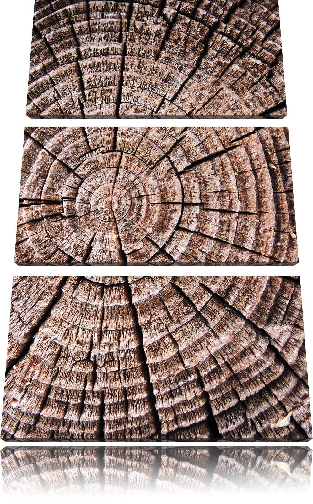 Pixxprint Baumstamm Jahresringe als Leinwandbild/Grösse: 3 Teilig (120x80) cm/Wandbild/Kunstdruck/fe