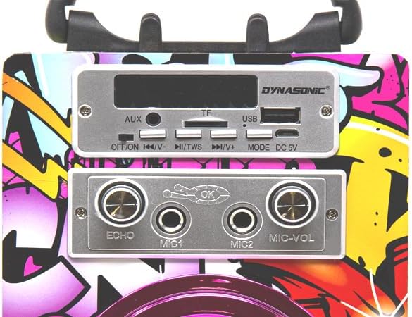 Dynamic Karaoke-Maschine, tragbarer Karaoke-Lautsprecher mit 2 Mikrofonen, Bluetooth-Lautsprecher, U