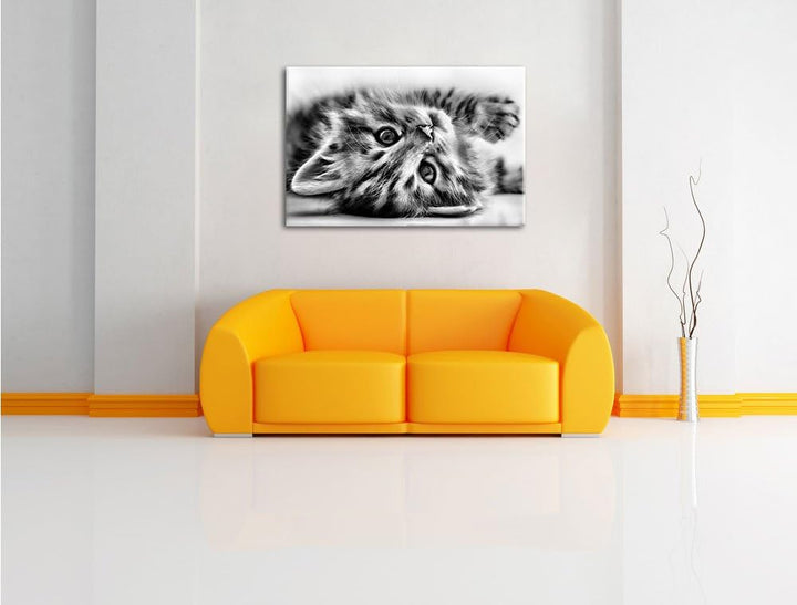 Pixxprint Süsses Katzenbaby / 100x70cm Leinwandbild bespannt auf Holzrahmen/Wandbild Kunstdruck Deko