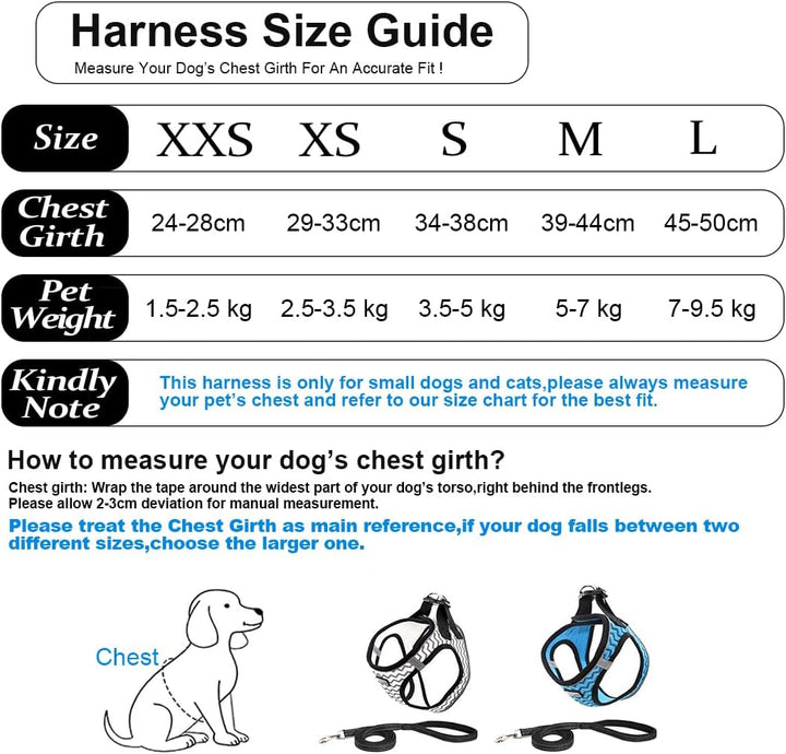 Hundegeschirr mit Leine Anti Zug Geschirr Reflektierend Brustgeschirr für Kleine Hunde, Haustiere, W