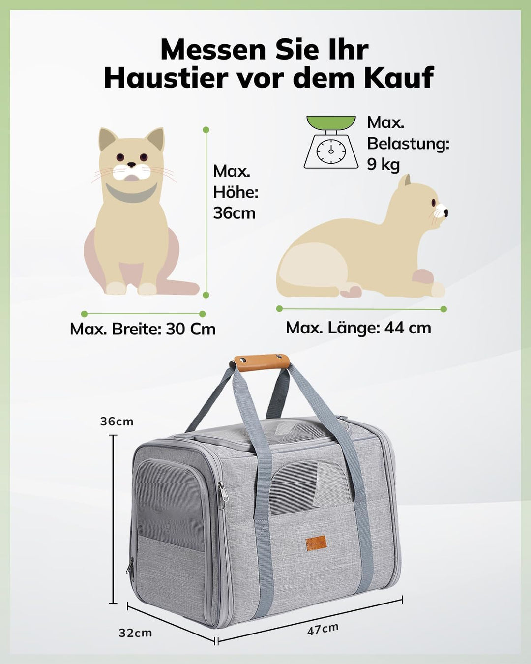 Morpilot Katzentransportbox für grosse Katzen und Welpen bis 7kg, Katzenbox Hundetasche mit Sicherhe