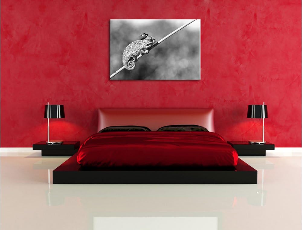 Pixxprint Süsser Gecko mit einem Marienkäfer Kunst B&W, Format: 100x70 auf Leinwand, XXL riesige Bil