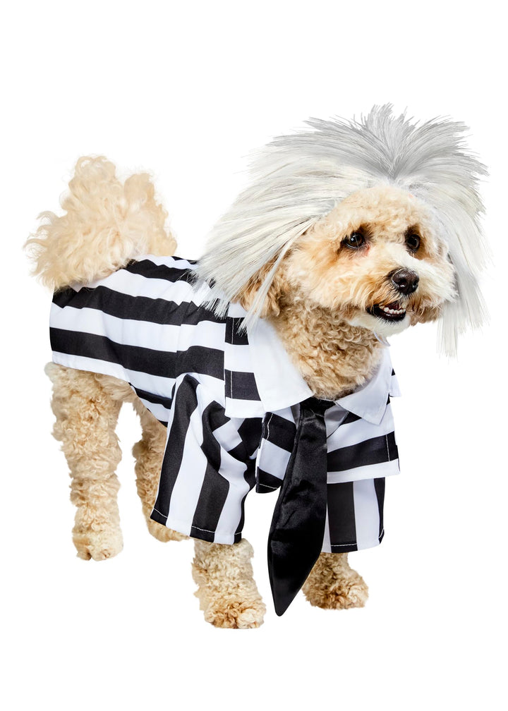 Rubie‘s Official Beetlejuice-Kostüm für Hunde, Grösse XL Schwarz XL, Schwarz XL