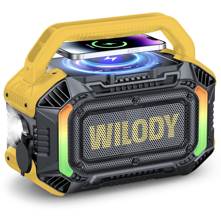 Wilody 100W Tragbare Bluetooth-Lautsprecher-Box,Bluetooth Lautsprecher mit Licht,Musikbox Bluetooth&