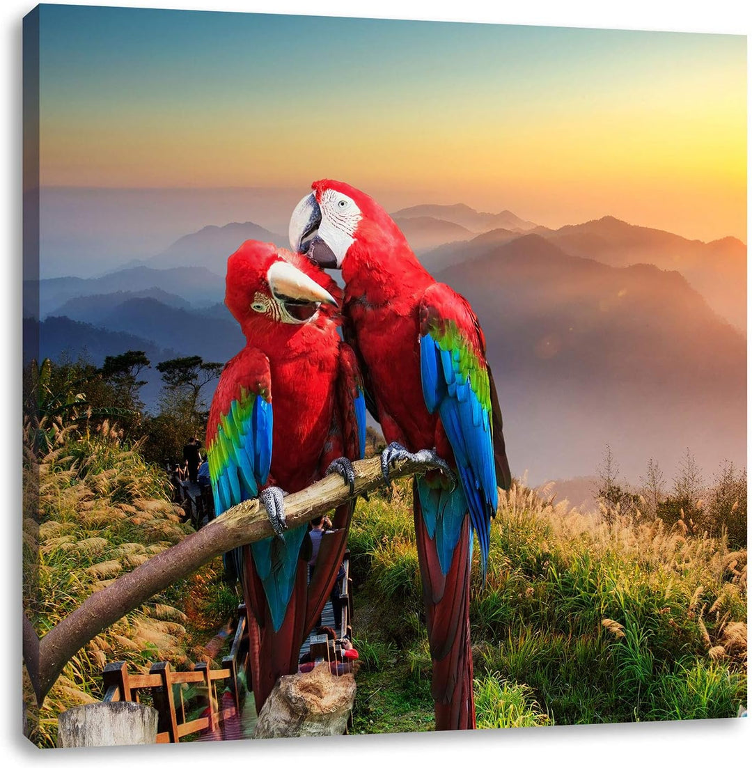 Papageien Pärchen, Format: 70x70 auf Leinwand, XXL riesige Bilder fertig gerahmt mit Keilrahmen, Kun