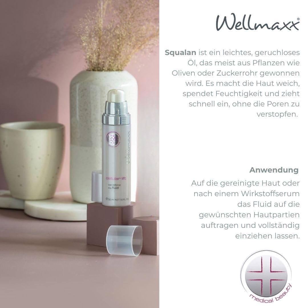 Wellmaxx skineffect perfection day fluid LSF 15
