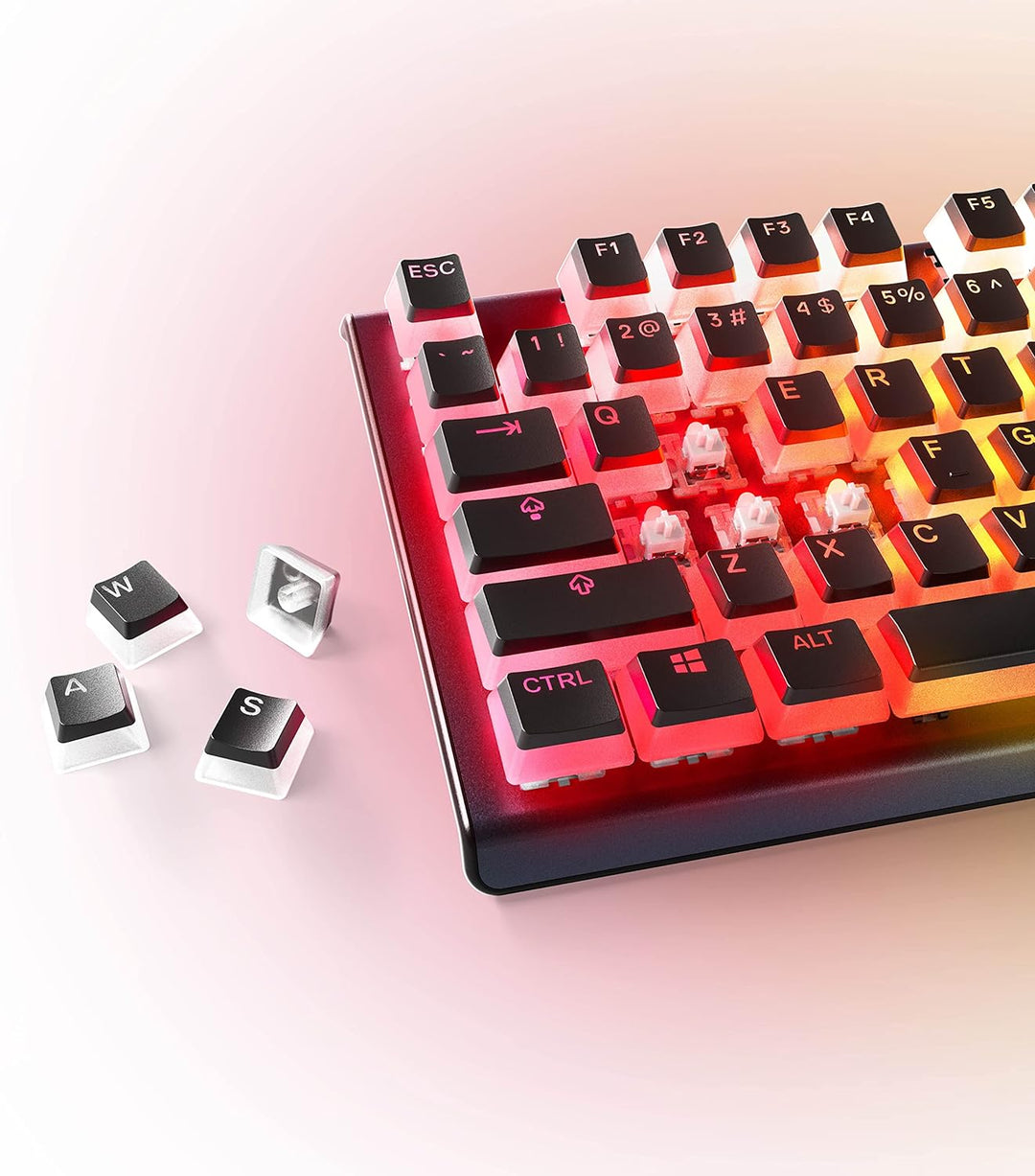 SteelSeries PrismCaps – Double-Shot-Tastenset mit „Pudding“-Optik – Kompatibilität mit allen gängige