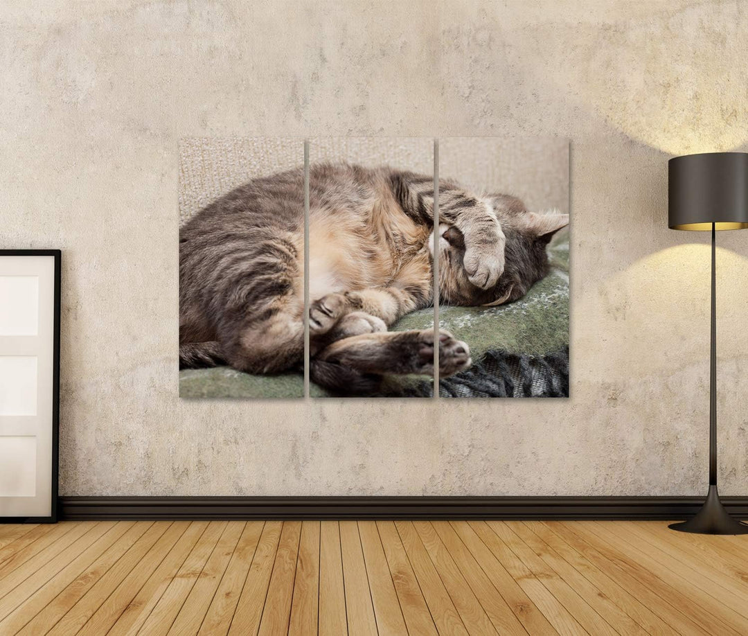 islandburner Bild auf Leinwand Schlafende Katze Bilder Wandbilder Poster Leinwand 130x80cm - 3 Teile