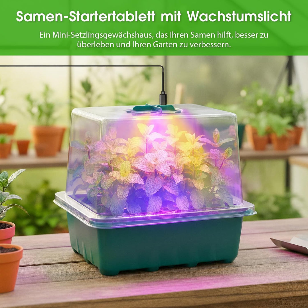 Zimmergewächshaus Anzuchtkasten (2, Grün) Grün-2pcs, Grün-2pcs
