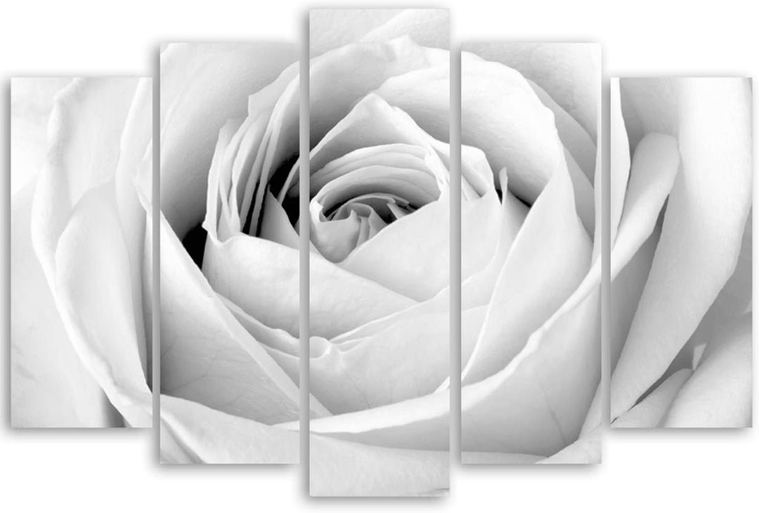 Feeby. Leinwandbild - 5 Teile - Bilder, Wand Bild, Wandbilder, Kunstdruck XXL, 5-Teilig, Typ A, 150x