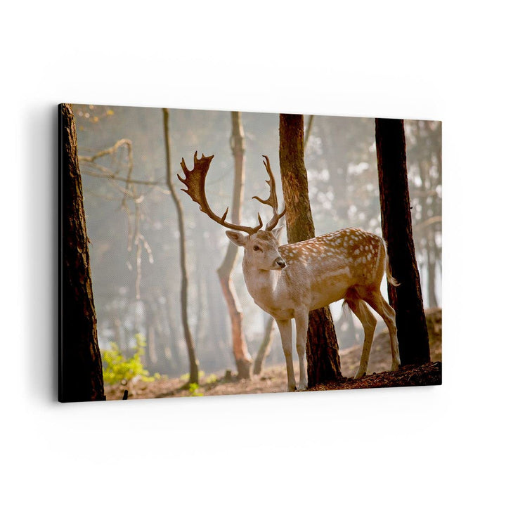 ARTTOR Bilder auf Leinwand 100x70cm Leinwandbild Kitz Hirsch Tier wild Gross Wanddeko Bild Schlafzim