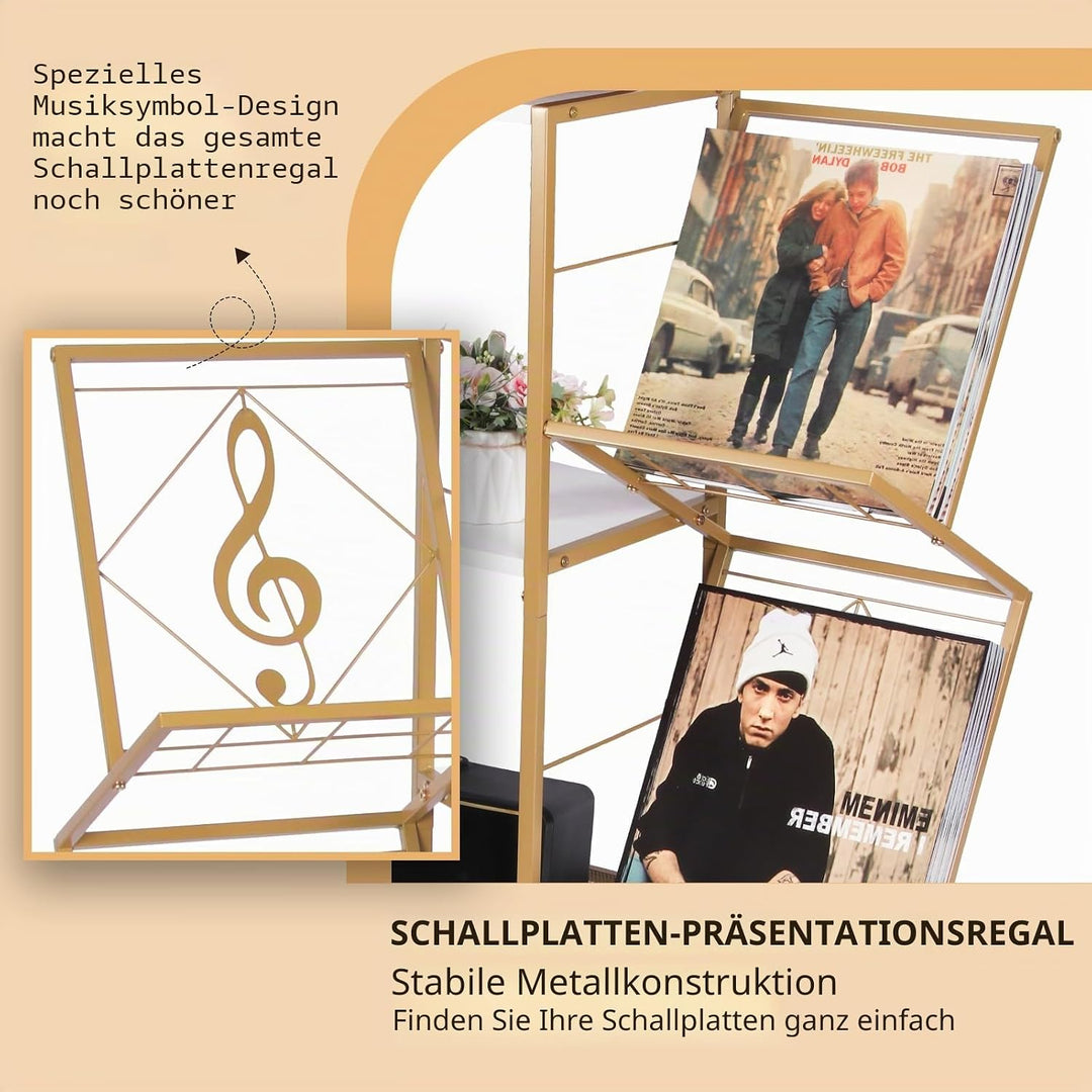 HYCFYJR Plattenspieler Ständer, Schallplatten Aufbewahrung mit 2-stufiger Vinyl Halter und Metallrah