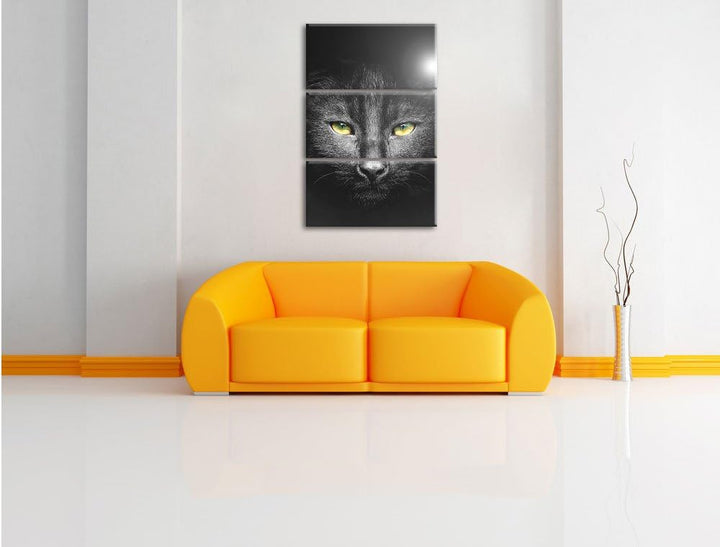 Pixxprint Katzenkopf mit düsterem Hintergrund schwarz/weiss als Leinwandbild/Grösse: 3 Teilig (120x8