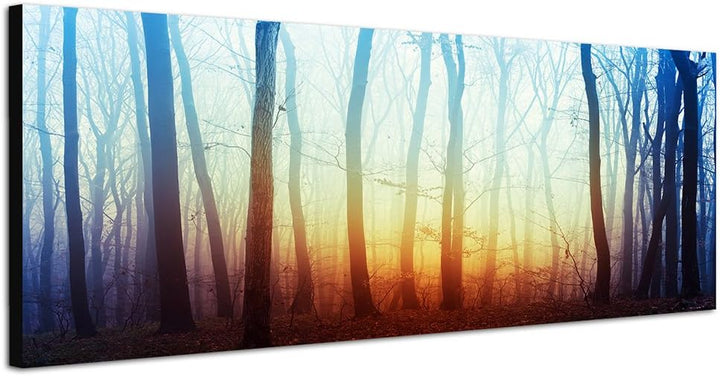 Paul Sinus Art Panoramabild auf Leinwand und Keilrahmen 150x50cm Wald Bäume Licht mystisch