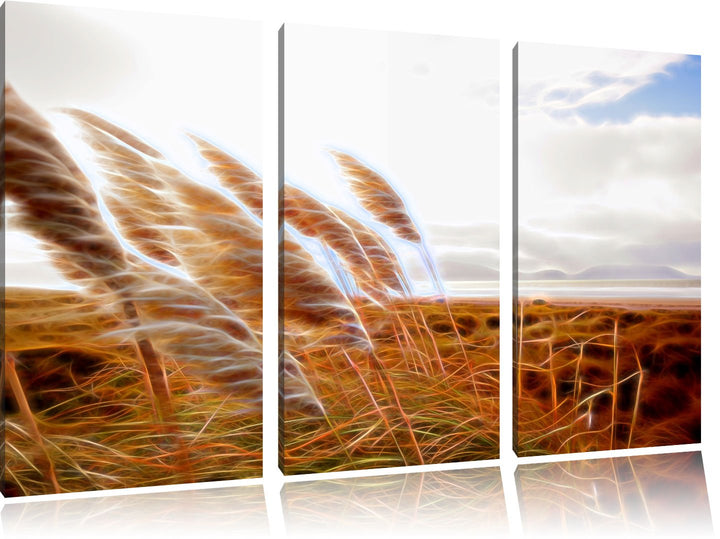 Schönes Schilf in den Dünen Spezial 3-Teiler Leinwandbild 120x80 Bild auf Leinwand, XXL riesige Bild