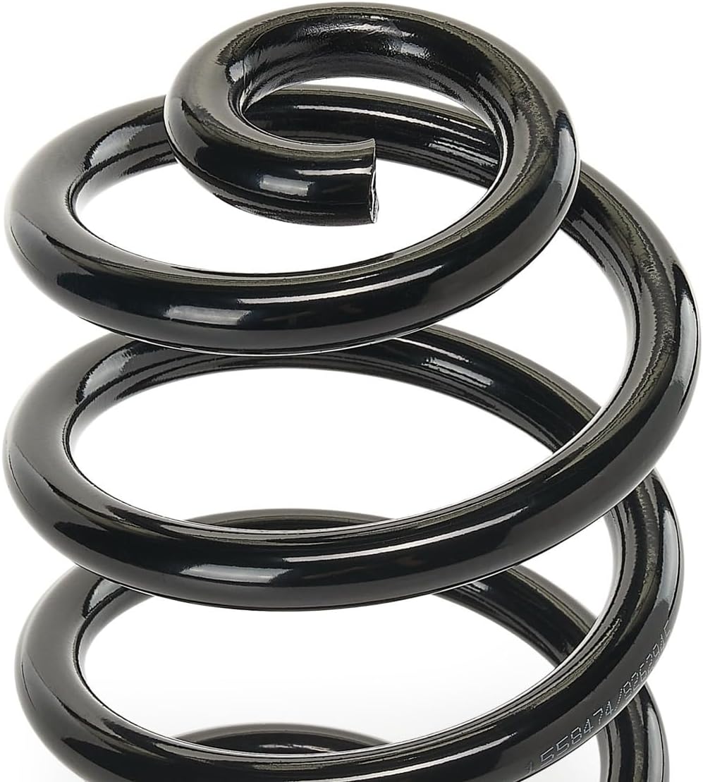 RIDEX FEDER FAHRWERKSFEDER HINTEN