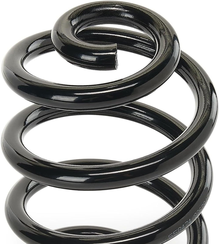 RIDEX FEDER FAHRWERKSFEDER HINTEN