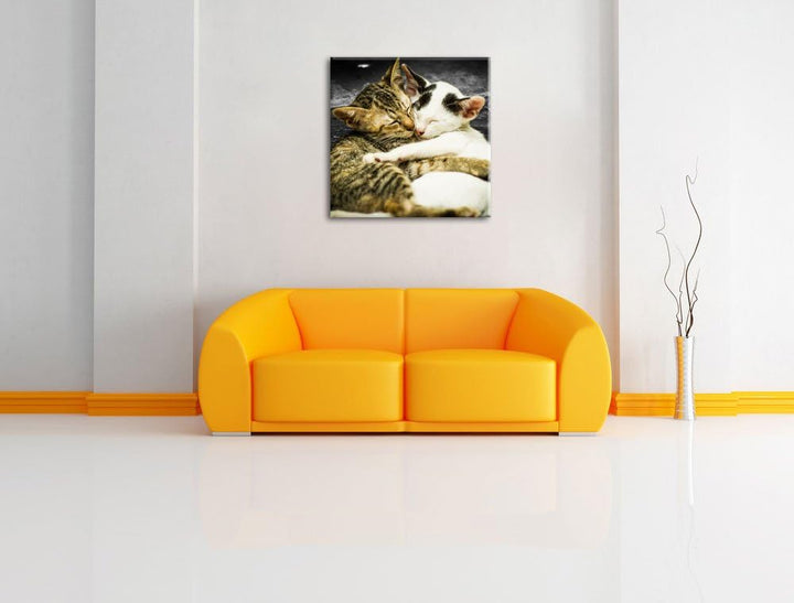 Pixxprint Liebende Kätzchen als Leinwandbild/Grösse: 70x70 cm/Wandbild/Kunstdruck/fertig bespannt, 7
