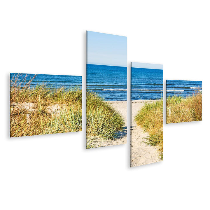 islandburner Bild auf Leinwand Weg Zum Strand An Ostsee Mit Strandhafer Bilder Wandbilder Poster Lei