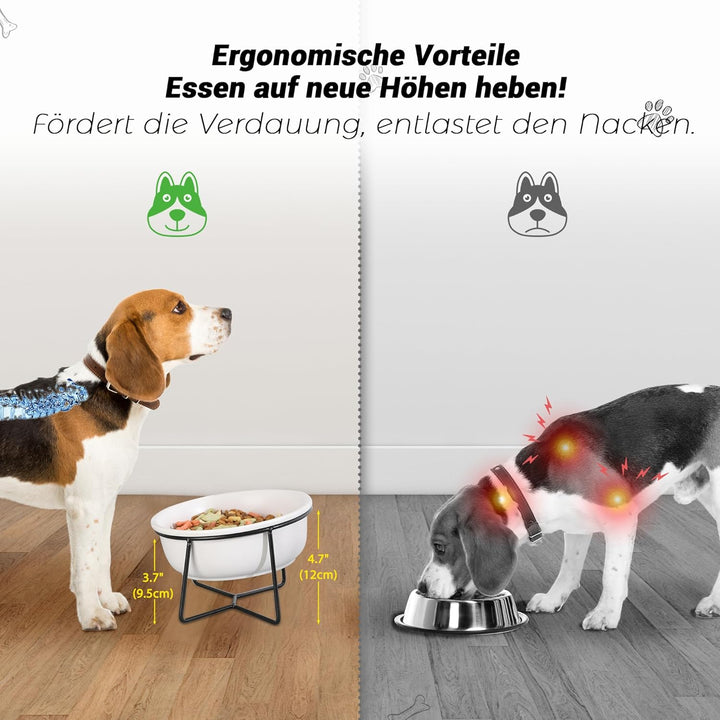 Hundenapf Keramik - Futternapf Hund Katzennapf - Futterstation Hund Katzen Erhöht mit Ständer - Fres