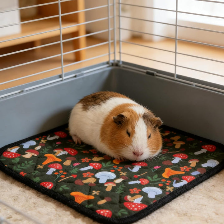 4 Stück Wiederverwendbare Unterlage für Meerschweinchen wasserdichte & Schnell Saugfähige PIPI Pads