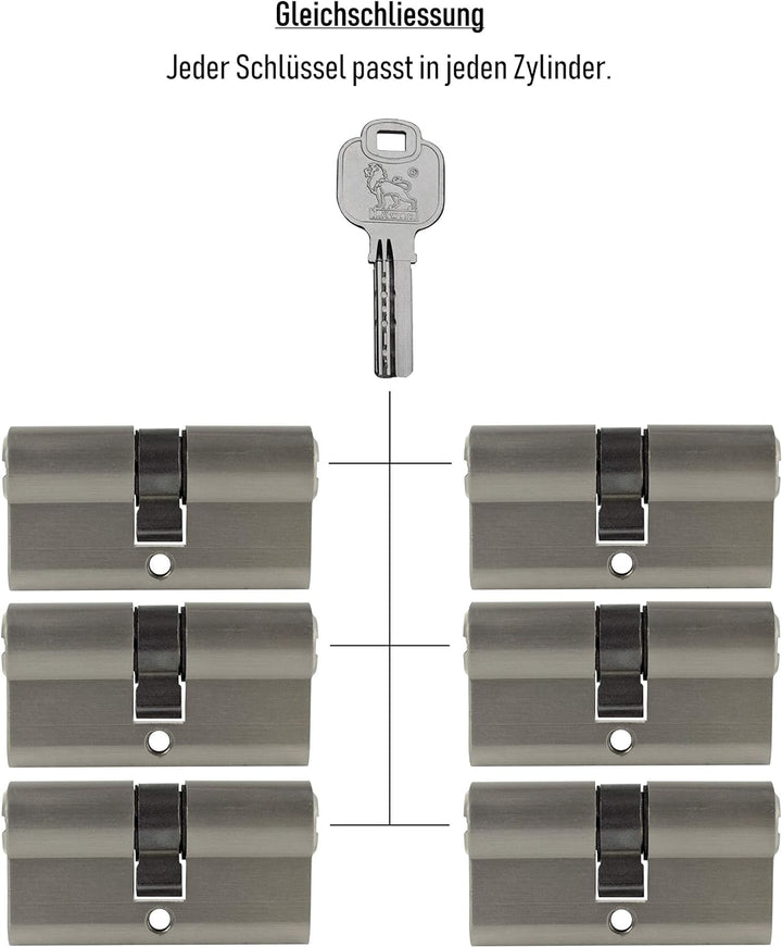 6x Profilzylinder 60mm 30/30 30x Schlüssel Tür Zylinder Schloss gleichschliessend