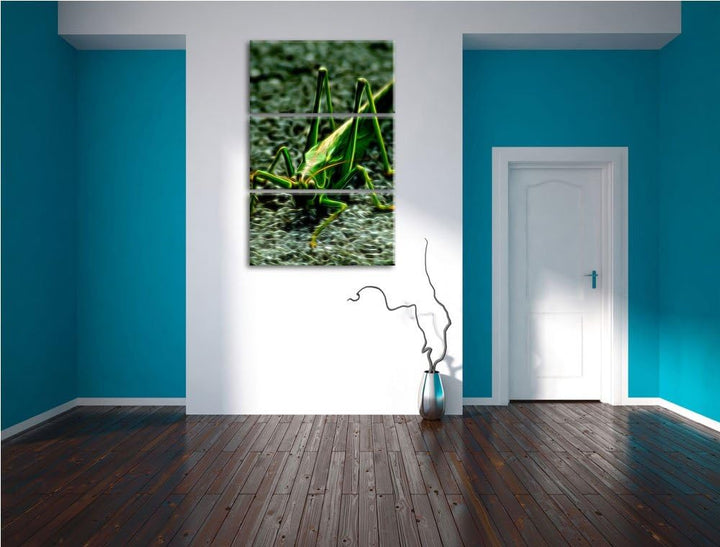 freche kleine Heuschrecke NewArt 3-Teiler Leinwandbild 120x80 Bild auf Leinwand, XXL riesige Bilder