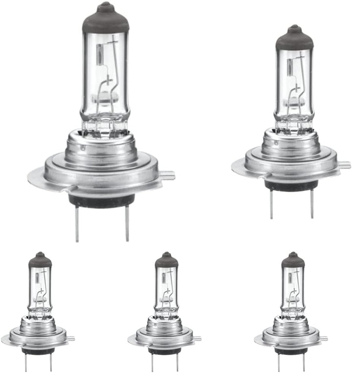 HELLA - Glühlampe - H7 - Heavy Duty Expert Longer lifetime, vibration resistant - 24V - 70W - Sockel