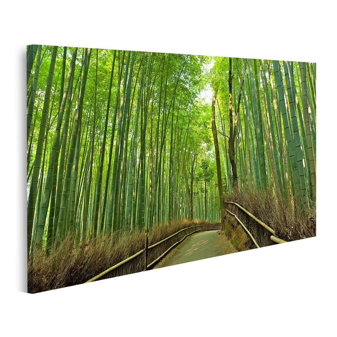 islandburner Bild auf Leinwand Berühmte Bambushain Bei Arashiyama Kyoto Japan Bilder Wandbilder Post