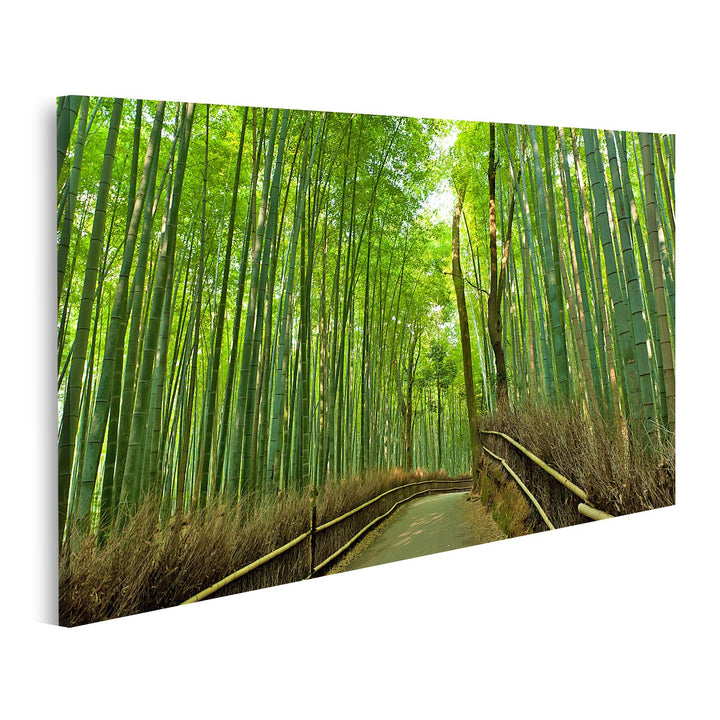 islandburner Bild auf Leinwand Berühmte Bambushain Bei Arashiyama Kyoto Japan Bilder Wandbilder Post