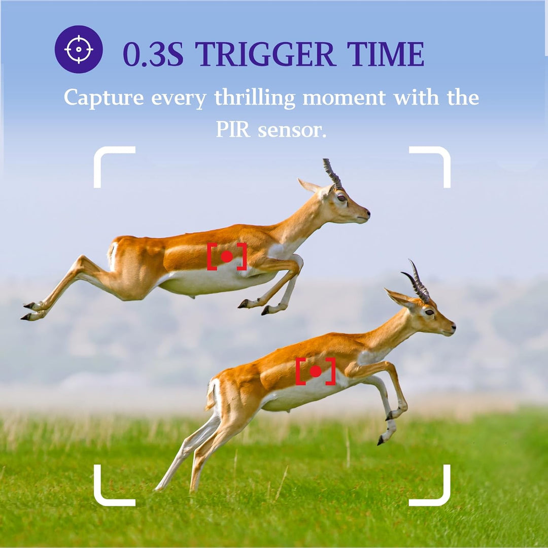 2tlg. Wildkamera Fotofalle Beute Kamera JagdKamera, 32MP HD Video, 36pcs IR LED No-Glow Nachtsicht W