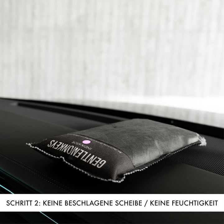 GENTLEMONKEYS Luftentfeuchter Kissen (1kg) - Mit Farbindikator | Entfeuchtet Auto, Wohnmobil, Garage