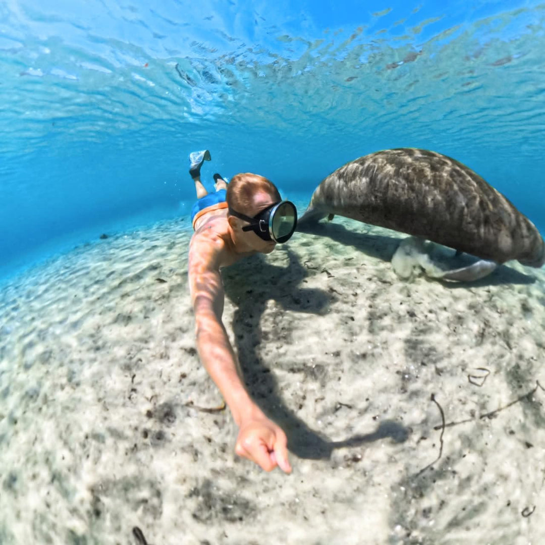 Insta360 X5 Invisible Dive Case, Insta360 X5 Invisible Dive Case