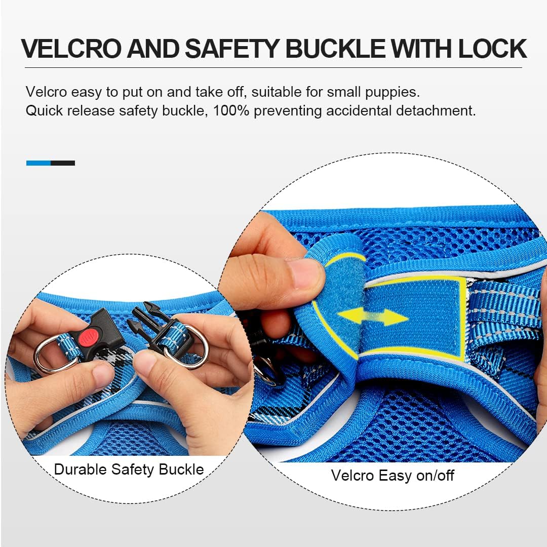 Suredoo Hundegeschirr Kleine Hunde mit Leine, Anti Zug Geschirr Reflektierend Atmungsaktiv Brustgesc
