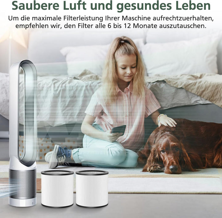 2 Pack TP01 True HEPA Ersatzfilter Kompatibel mit Dyson Tower Purifier Pure Cool Link-Modellen TP01,