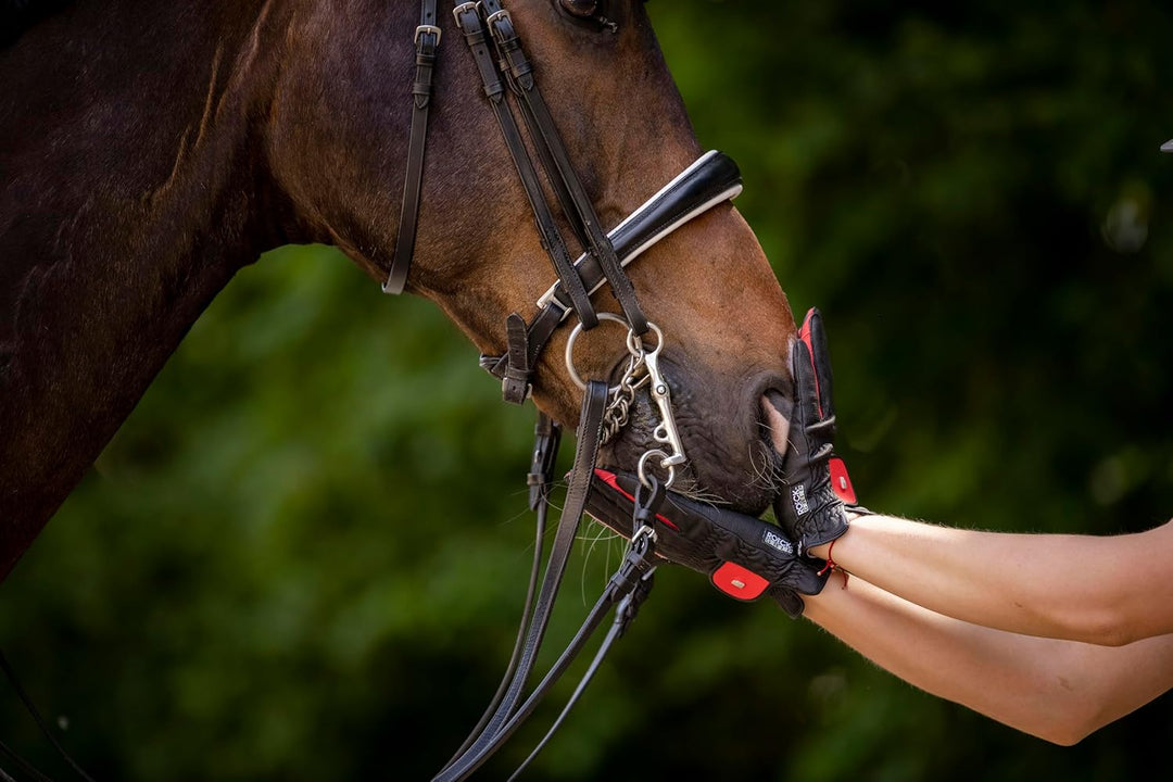 Roeckl Sports Reithandschuh Malta, Turnier Sommer Handschuh, 5 Farben, Grösse 6-10.5 6 Lorbeerblatt,