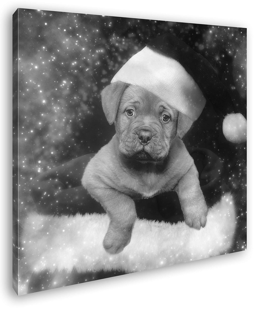 deyoli Tierisches Weihnachten Format: 60x60 Effekt: Schwarz&amp;Weiss als Leinwandbild, Motiv fertig ger