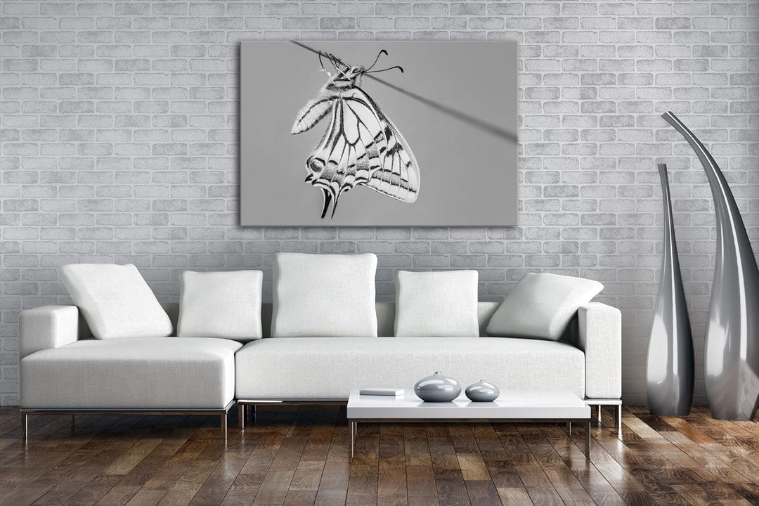 deyoli Schöner gelber Schmetterling Effekt: Schwarz/Weiss Format: 80x60 als Leinwandbild, Motiv fert