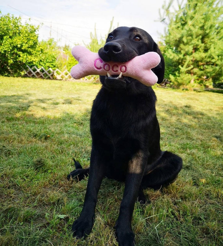 Generisch Personalisiertes Hundespielzeug Knochen mit Name – Welpengeschenk aus weichem Minky Plüsch