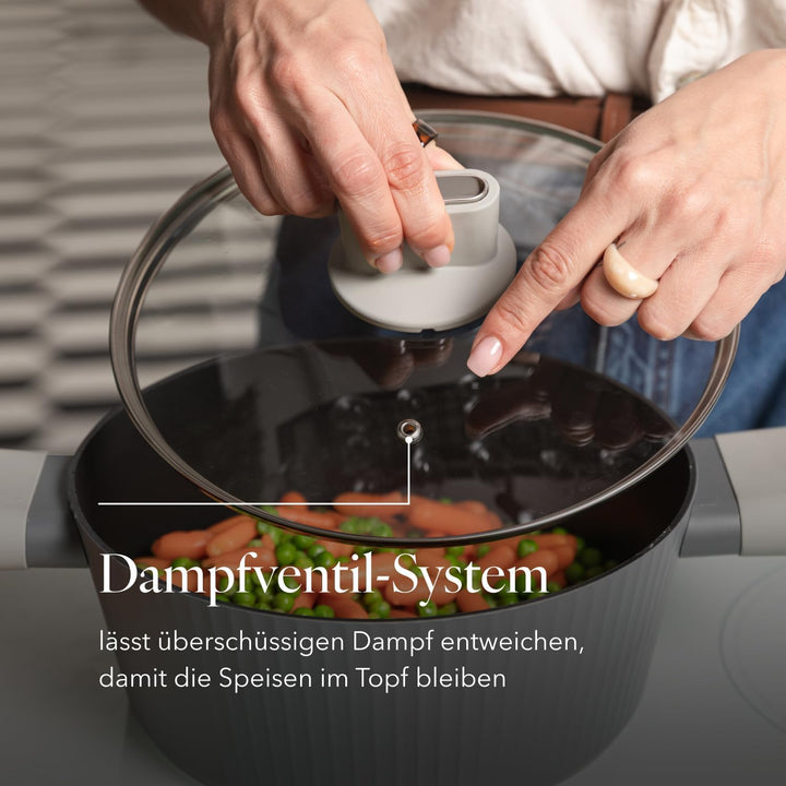 FLORINA Aluminiumtopf Serrano 2,1 l 20 cm I Töpfe mit Soft-Touch-Griffen I Leichter und langlebiger