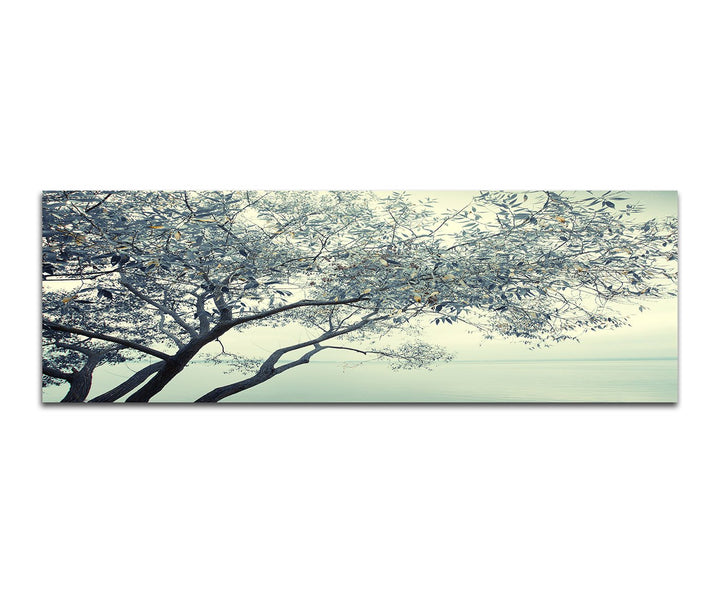 Paul Sinus Art Panoramabild auf Leinwand und Keilrahmen 150x50cm Fluss Baum Nebel Nacht Sterne