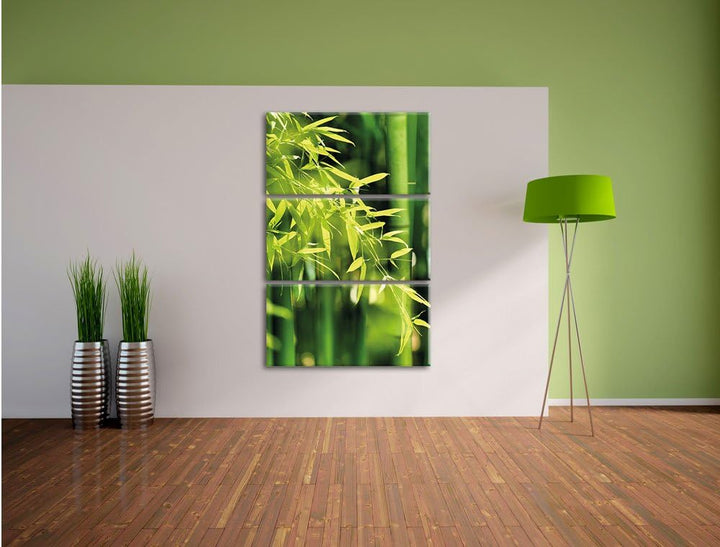Pixxprint Grüner frischer Bambus mit Blättern 3-Teiler Leinwandbild 120x80 Bild auf Leinwand