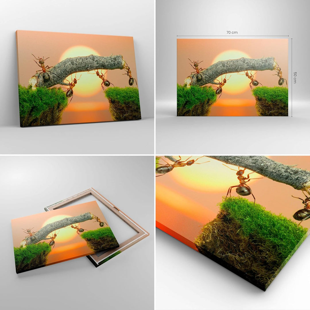 Bilder auf Leinwand Tiere Ameisen Brücke Natur Leinwandbild 70x50cm Wandbilder Dekoration Wohnzimmer