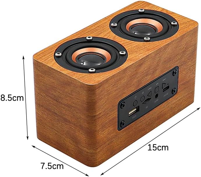 H3 Karaoke-Maschine aus Holz, Mikrofon-Karaoke mit 2 kabellosen Mikrofonen Freund, Ehemann