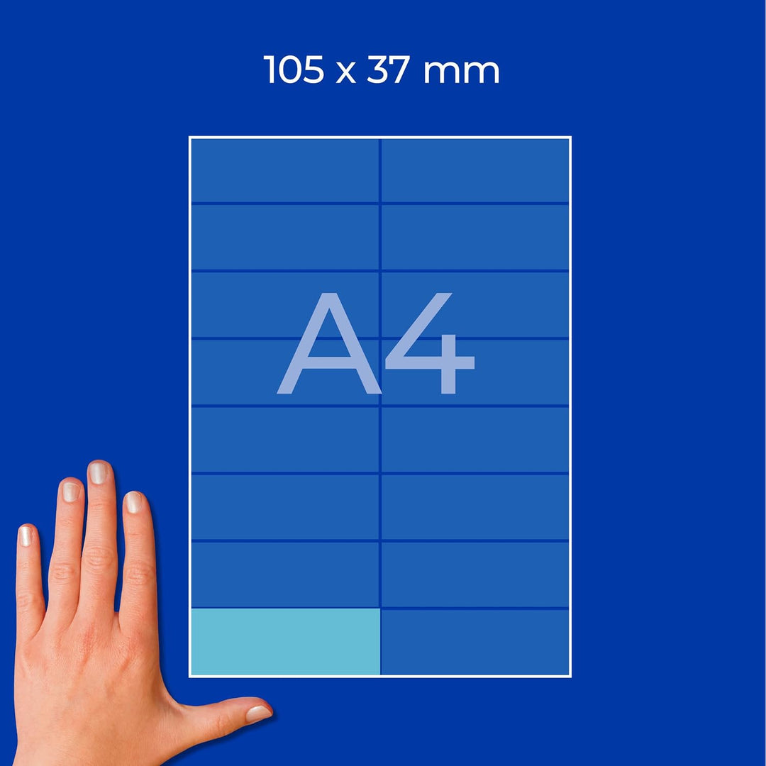 AVERY Zweckform 3453 Blaue Etiketten (1.600 Aufkleber, 105x37mm auf A4, permanent haftend, selbstkle