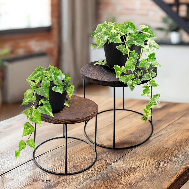 Holz Blumenhocker rund - 2er Set - Pflanzenhocker Hocker Blumenständer Pflanzenständer