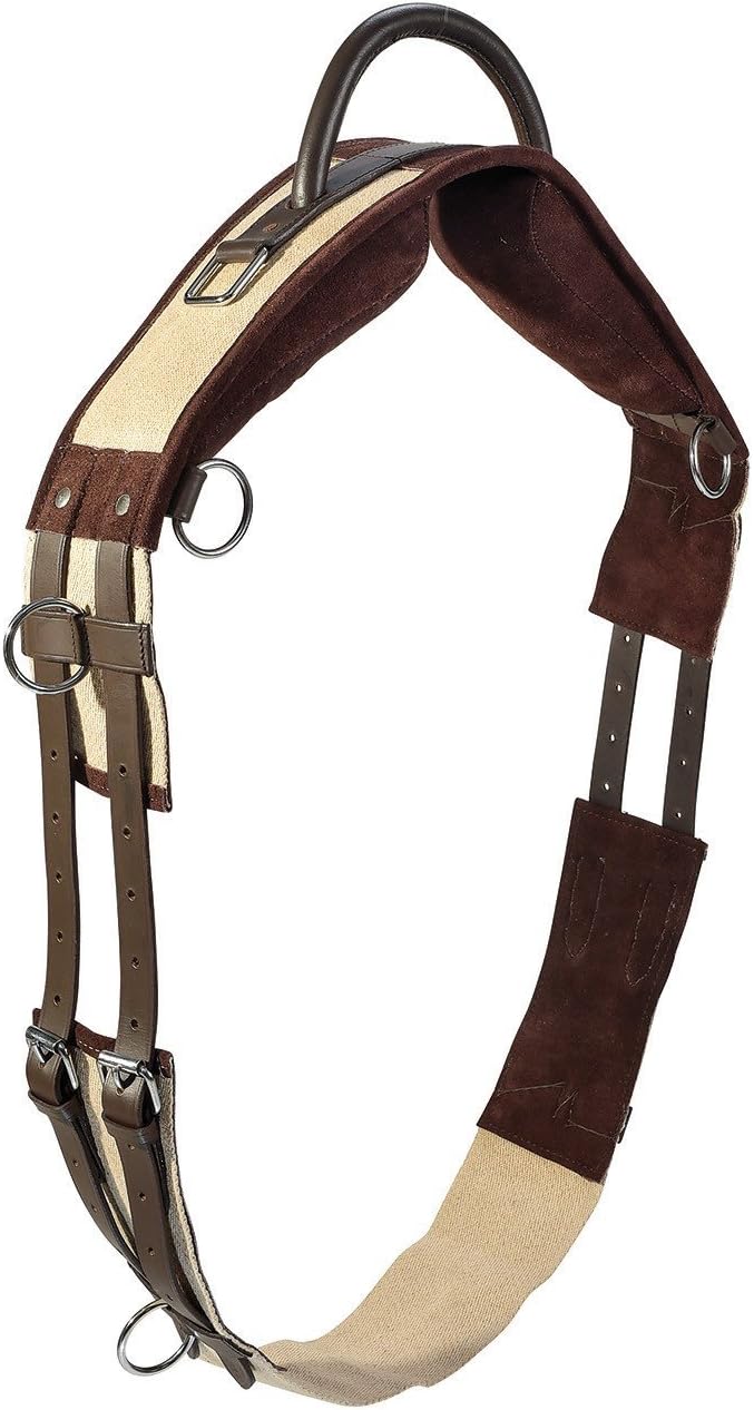 Busse Longiergurt mit Handgriff Schwarz 1 Stück (1er Pack), Schwarz 1 Stück (1er Pack)