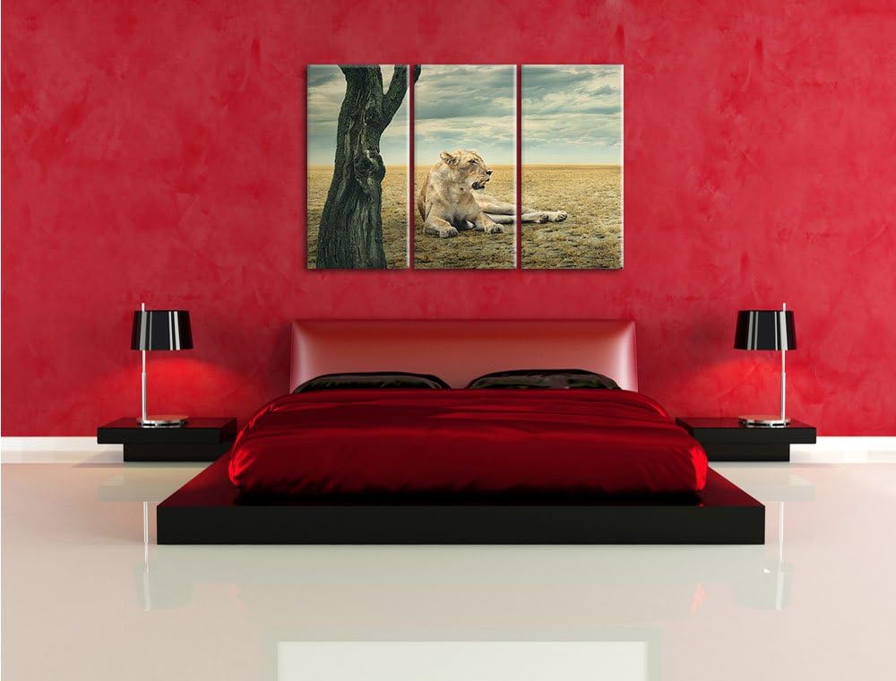 Pixxprint Löwin Ruhe Savanne 3-Teiler Leinwandbild 120x80 Bild auf Leinwand