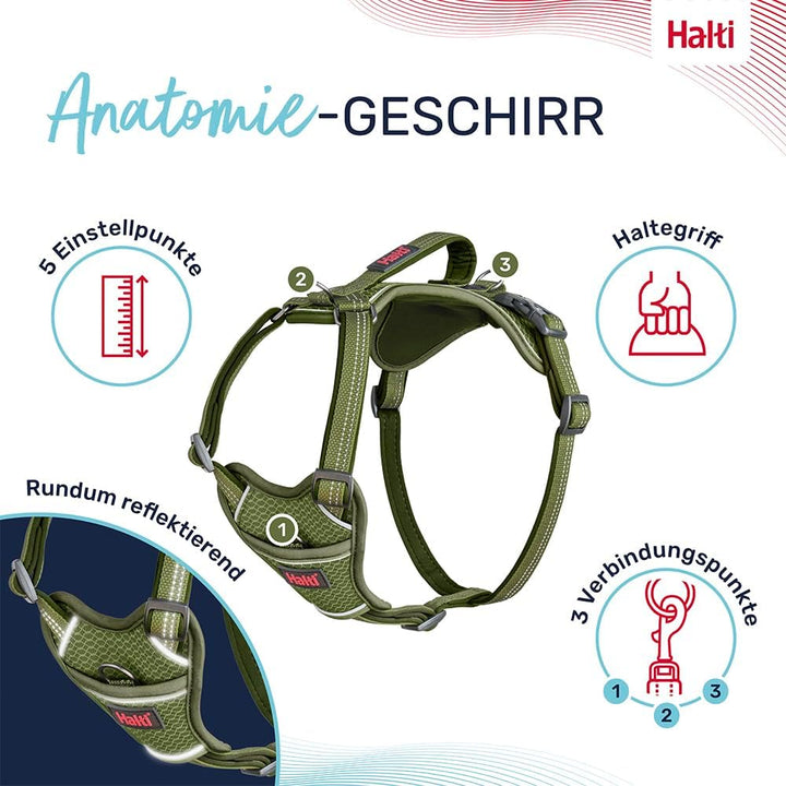 HALTI Anatomy Hundegeschirr mit Griff – Bewegungsfreiheit für deinen Hund. 3 Verbindungspunkte für d