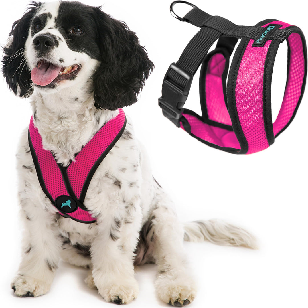 Gooby Comfort X Head In Harness - Flamingo Pink, Small - No Pull Kleines Hundegeschirr, Patentierter